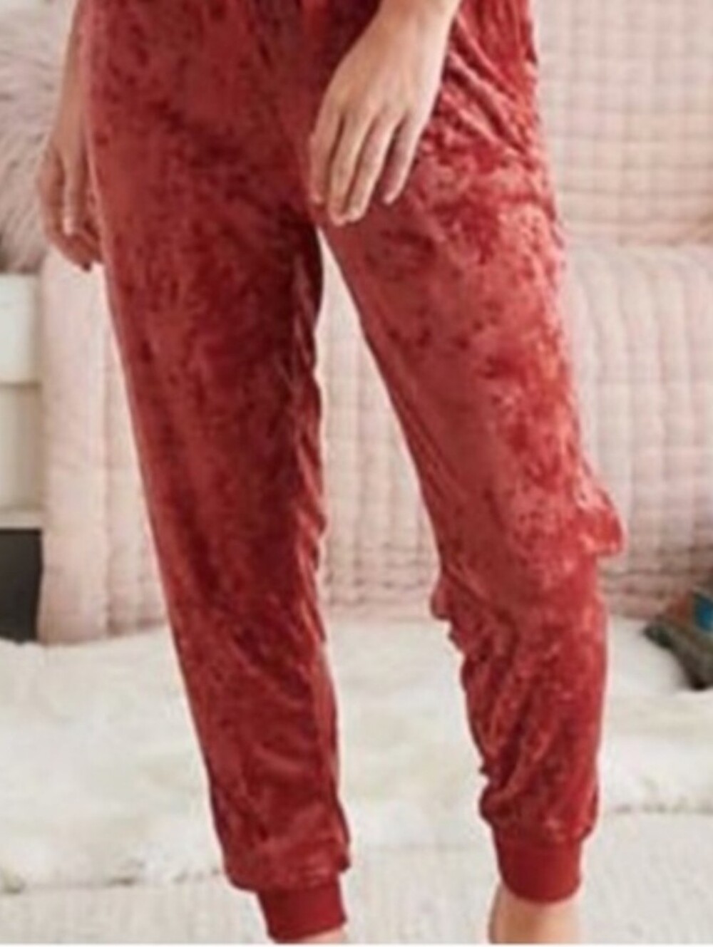NWOT Aerie Velvet Brick Jogger Pants Size S